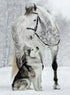 Horse & Wolf Diamond Painting